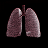 Grade 12 Biology: The Respiratory System icon