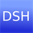 DSH Termin icon