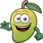 MangoTok icon