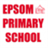 Epsom PS icon