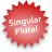 Singular Plural icon