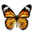 How to Draw Butterfly APK Download