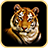 KidsZoo icon