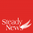 SteadyNews icon
