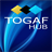 TOGAF Hub icon