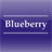 Blueberry 1.400
