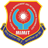 MIMIT Connect icon