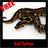 ball python icon