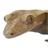 Crested Geckos icon