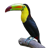 Know your Birds icon