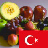 Learn Fruits in Turkish icon