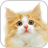 How To Drawing kitty APK Download