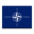 NATO Phonetic Alphabet Practice icon
