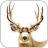 How To Draw Deer Animal APK Download