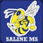 Saline MS version 4.1.1