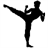 Kung fu at home icon