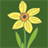 Coloring Book(flower) icon