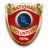 NVP icon