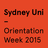 Orientation icon