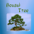 Bonsai Tree Guide icon