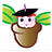 Gumnuts icon