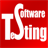 Software Testing version 1.3