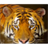 Top Ranked Wildlife Videos icon