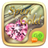 Spun Gold icon