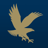 Embry-Riddle icon