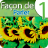 Learn French Lab: Façon 1 icon