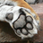 Paws And Claws 2 icon