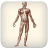 Human Body Facts icon