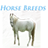 Horse Breeds icon