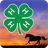 Texas 4-H Horse icon
