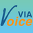 ViaVoice icon