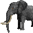 Elephant 3D icon