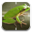Frog Croaker icon