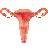 Female Reproductive System 3D icon