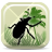 Palm Pests icon