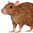 Rat 3D icon