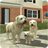 Dog Sim version 4.0