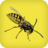 Wasps APK Download