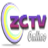 ZCTV Online services 0.1