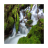 Waterfall Backgrounds icon
