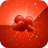 Valentine's Day Frames Photo Effects icon