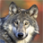 Wolf Gallery HD icon