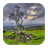 Twisted Tree Wallpapers icon