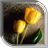 Tulip Live Wallpaper icon