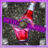 Bottle Breaker icon