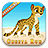 Cheetah adventure icon